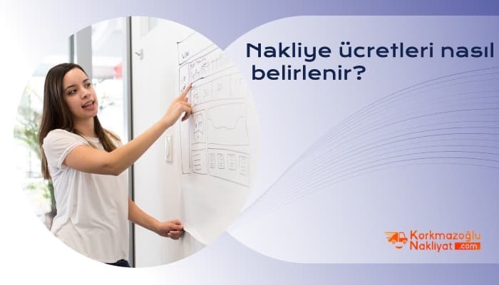 Anadolu Yakası Nakliyat Şirketleri